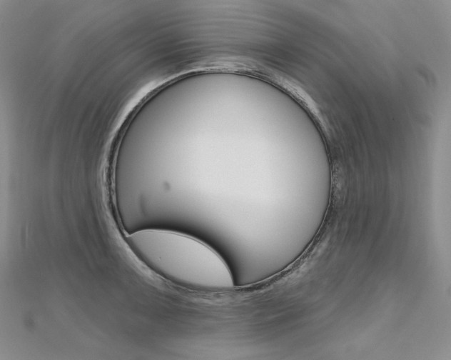X0000112481091200908171007