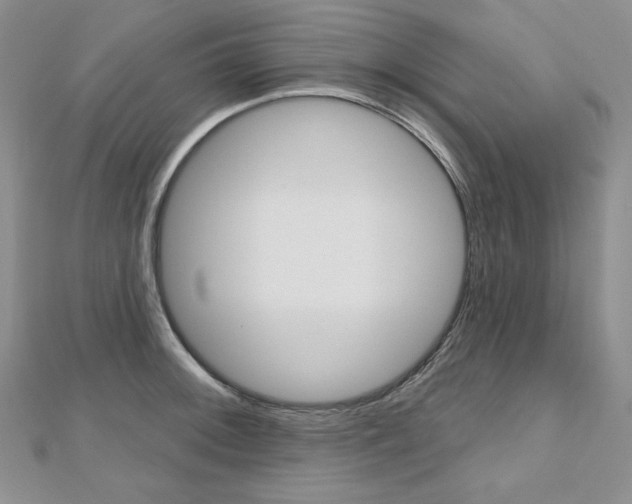 X0000112481092200908171007
