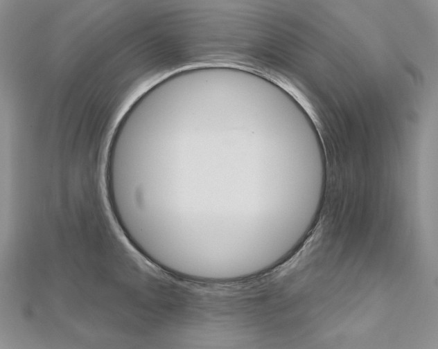 X0000112481093200908171007