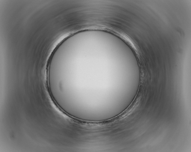 X0000112481095200908171007