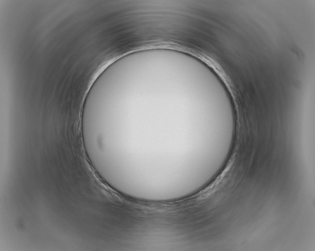 X0000112481097200908171007