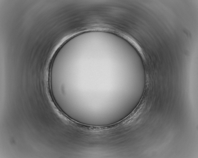 X0000112481099200908171007