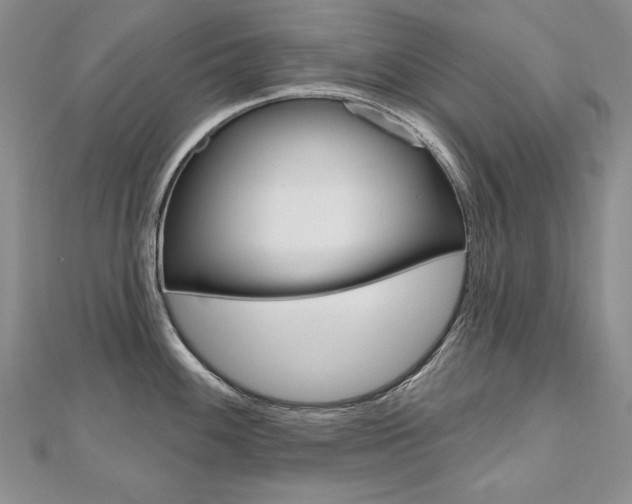 X0000112481100200908171007