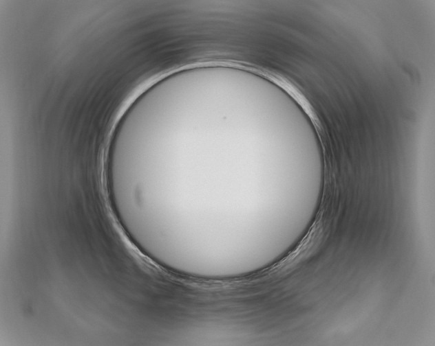X0000112481101200908171007