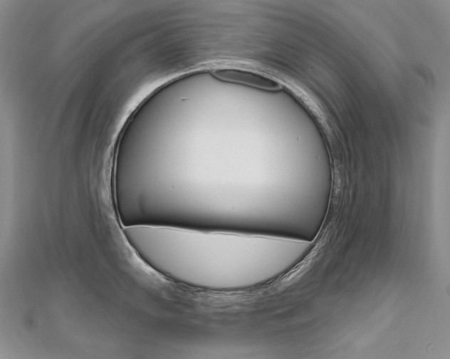 X0000112481102200908171006
