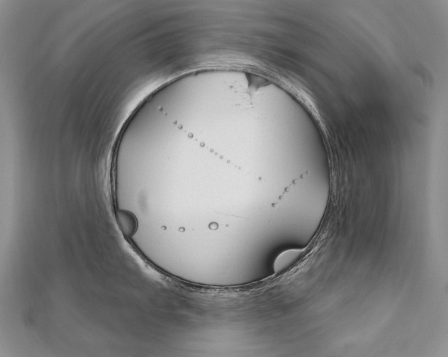 X0000112481103200908171006