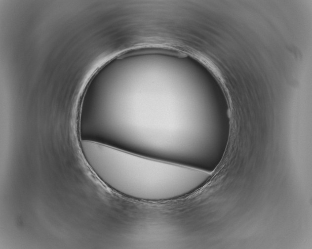 X0000112481104200908171006