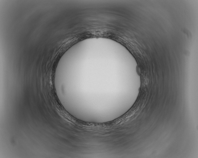 X0000112481106200908171006