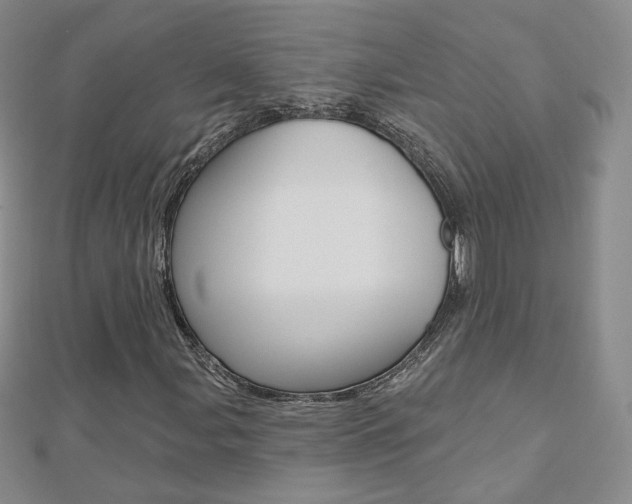 X0000112481107200908171006