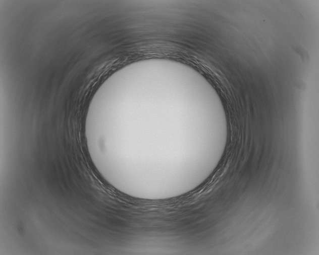 X0000112481108200908171006