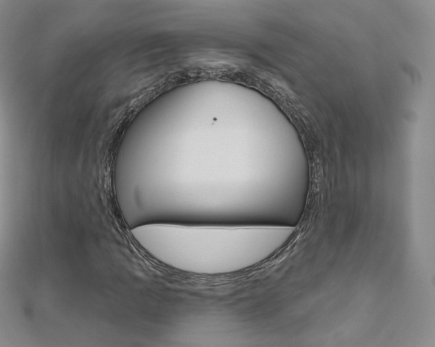 X0000112481109200908171006