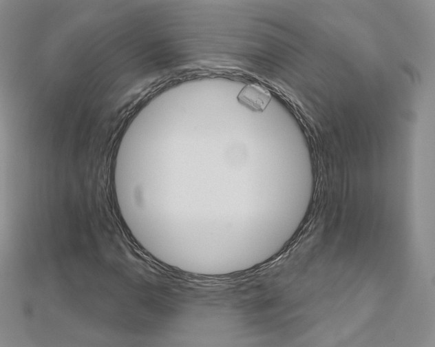 X0000112481110200908171006