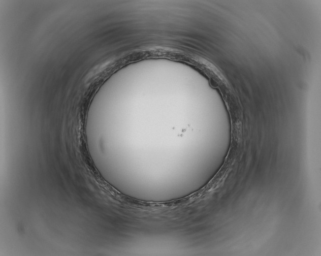 X0000112481111200908171006