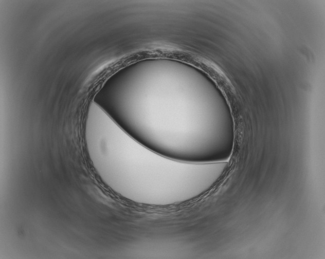 X0000112481112200908171006