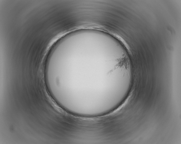 X0000112481114200908171006