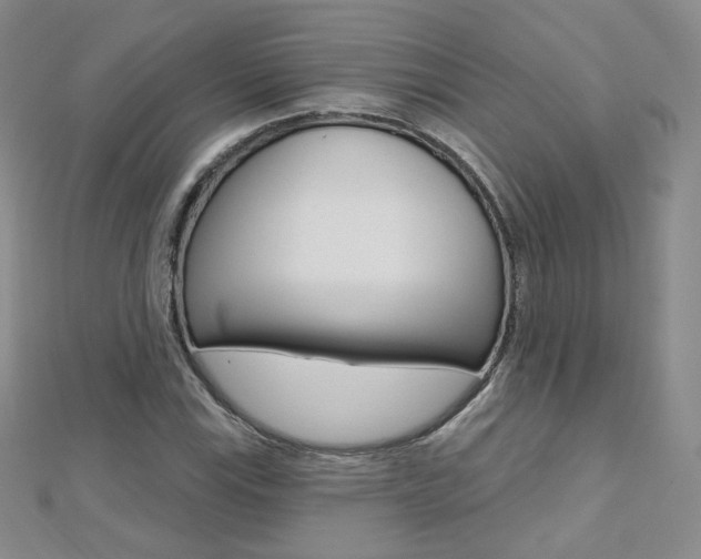 X0000112481115200908171006