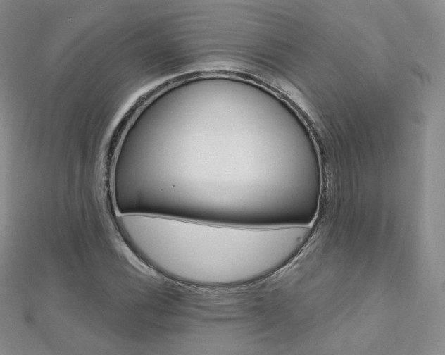 X0000112481116200908171006