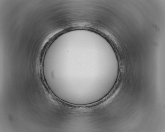 X0000112481117200908171006