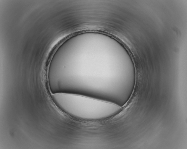 X0000112481119200908171006