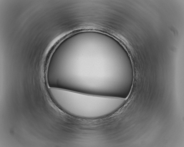 X0000112481120200908171006