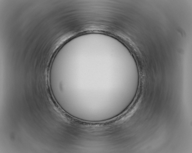 X0000112481121200908171006