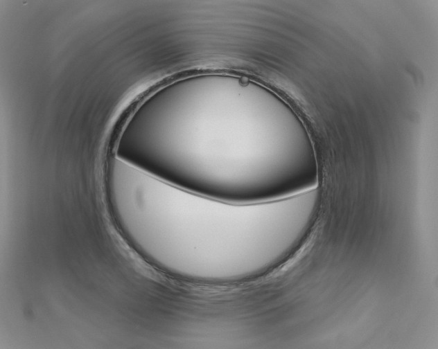 X0000112481122200908171006