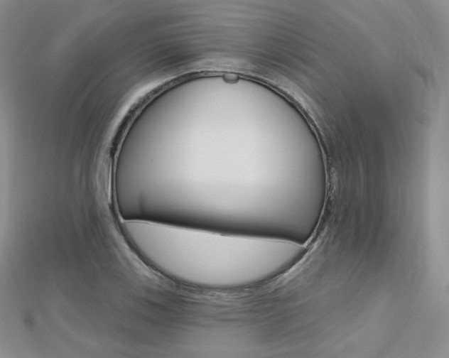 X0000112481123200908171006