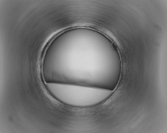 X0000112481124200908171006