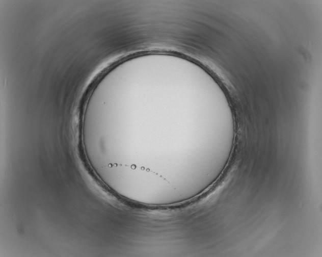 X0000112481126200908171006