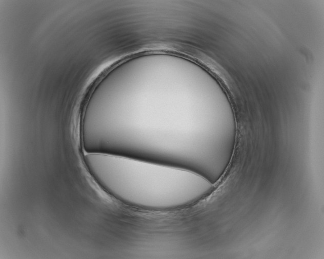 X0000112481127200908171006