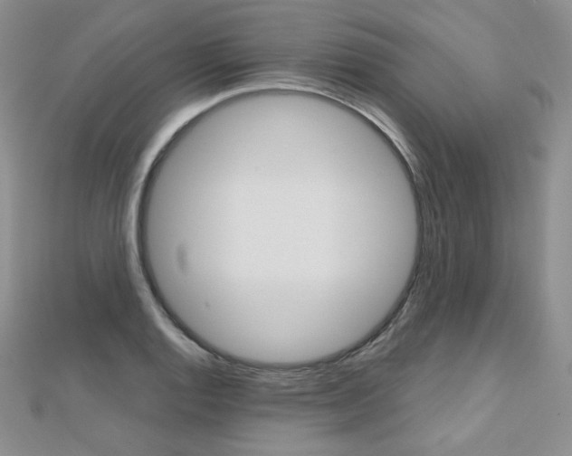 X0000112481128200908171006