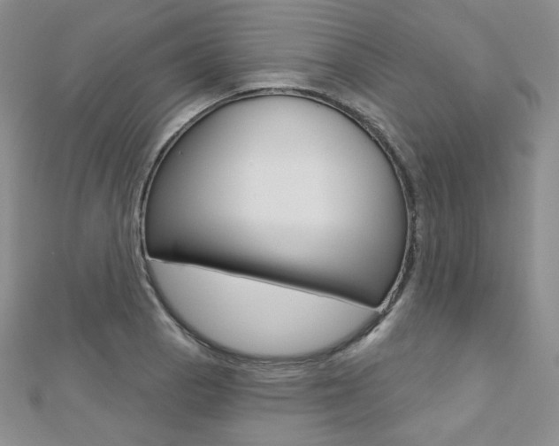 X0000112481129200908171006