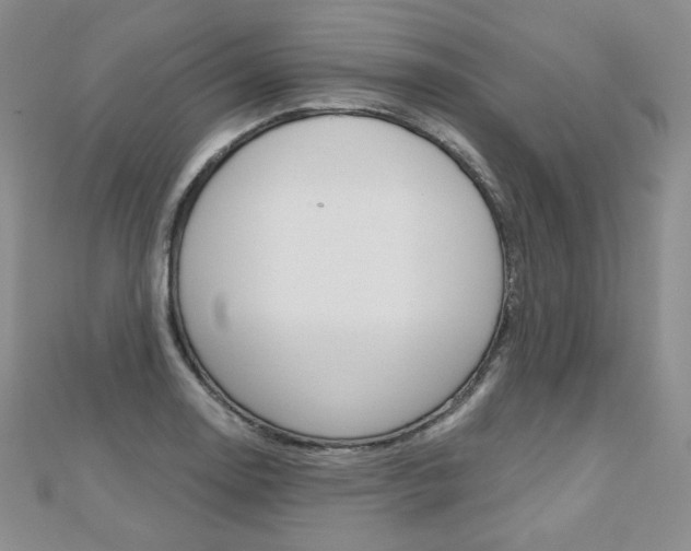 X0000112481130200908171006