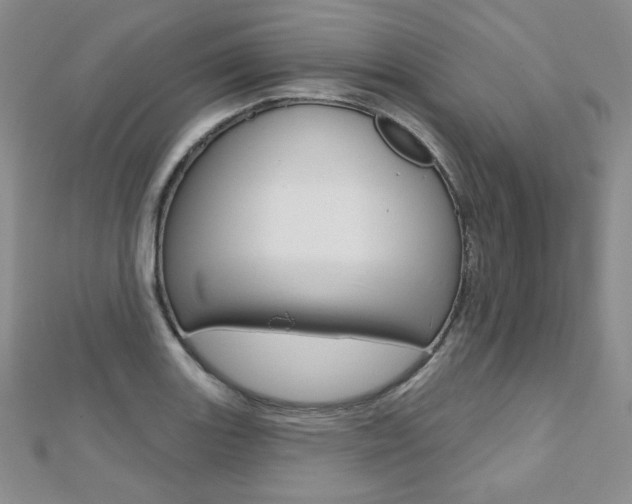 X0000112481131200908171006