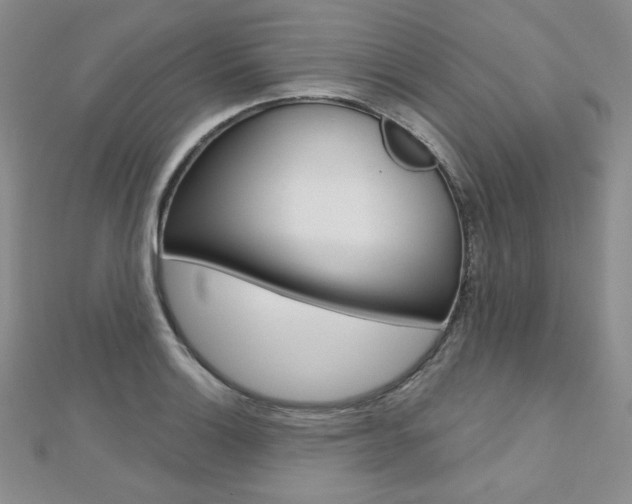 X0000112481132200908171006