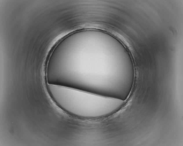 X0000112481133200908171006