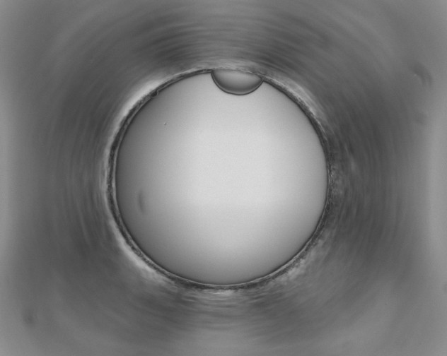 X0000112481135200908171006
