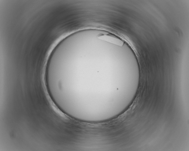 X0000112481136200908171006
