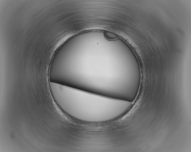 X0000112481137200908171006