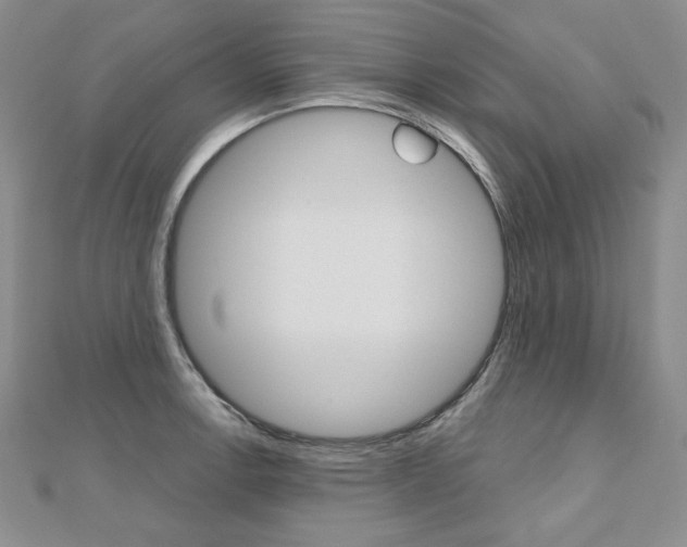 X0000112481138200908171006