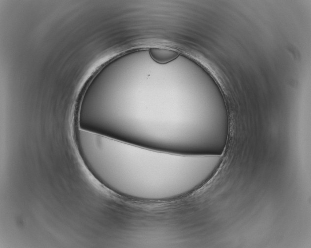 X0000112481139200908171006