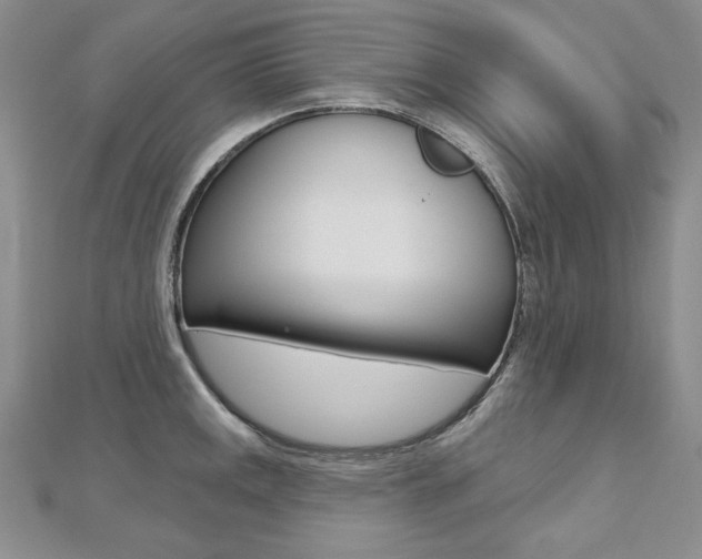 X0000112481141200908171006
