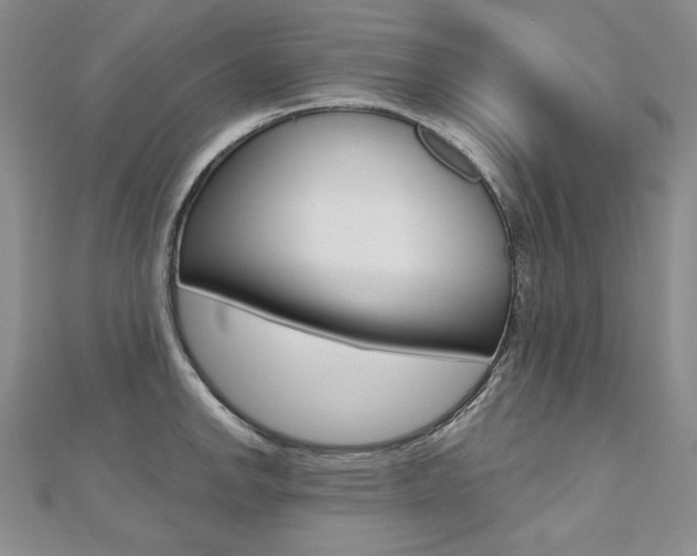 X0000112481142200908171006