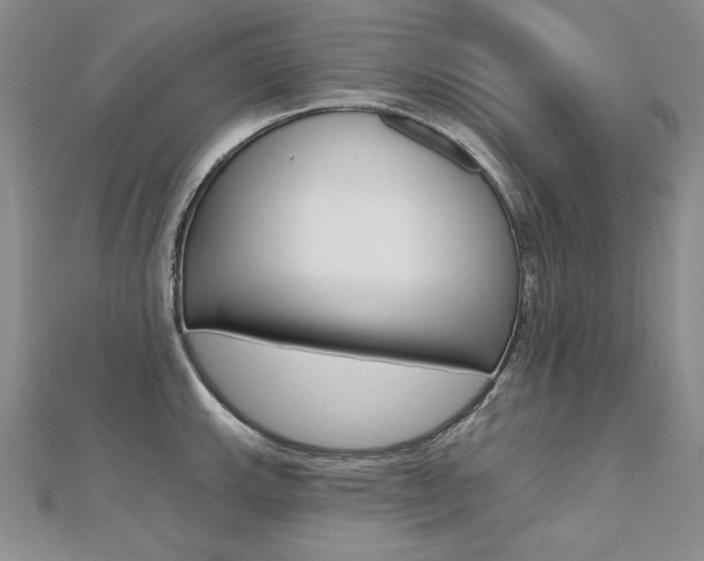 X0000112481143200908171006