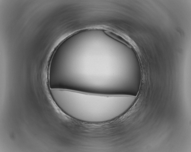 X0000112481144200908171006