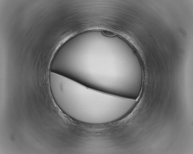 X0000112481145200908171006