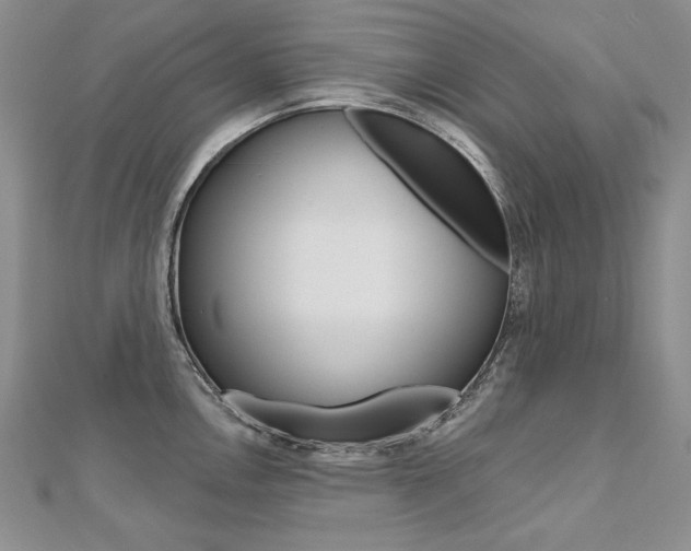 X0000112481146200908171006