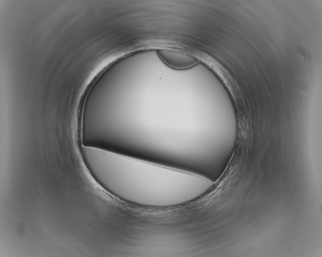 X0000112481147200908171006