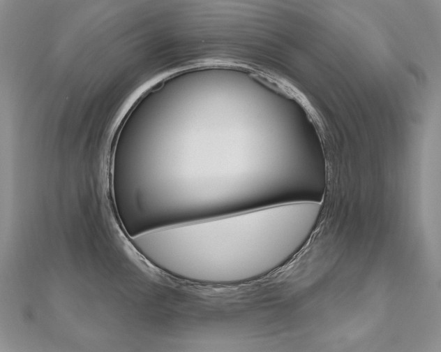 X0000112481148200908171006