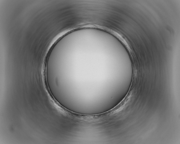 X0000112481149200908171006